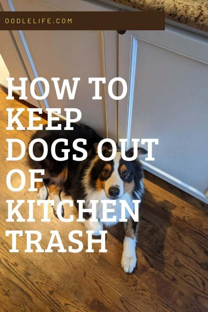best dog proof kitchen trashcan