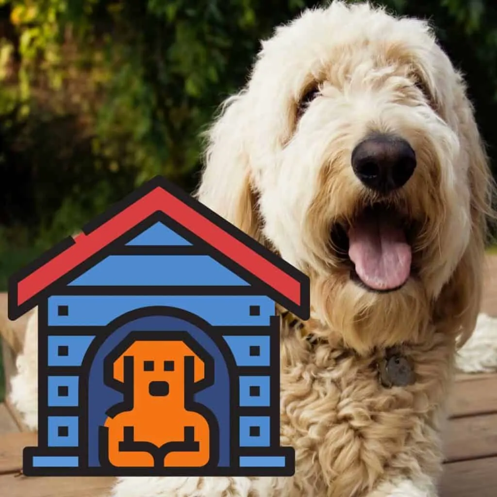 5 Best Dog Crates for a Goldendoodle (Reviews) 1