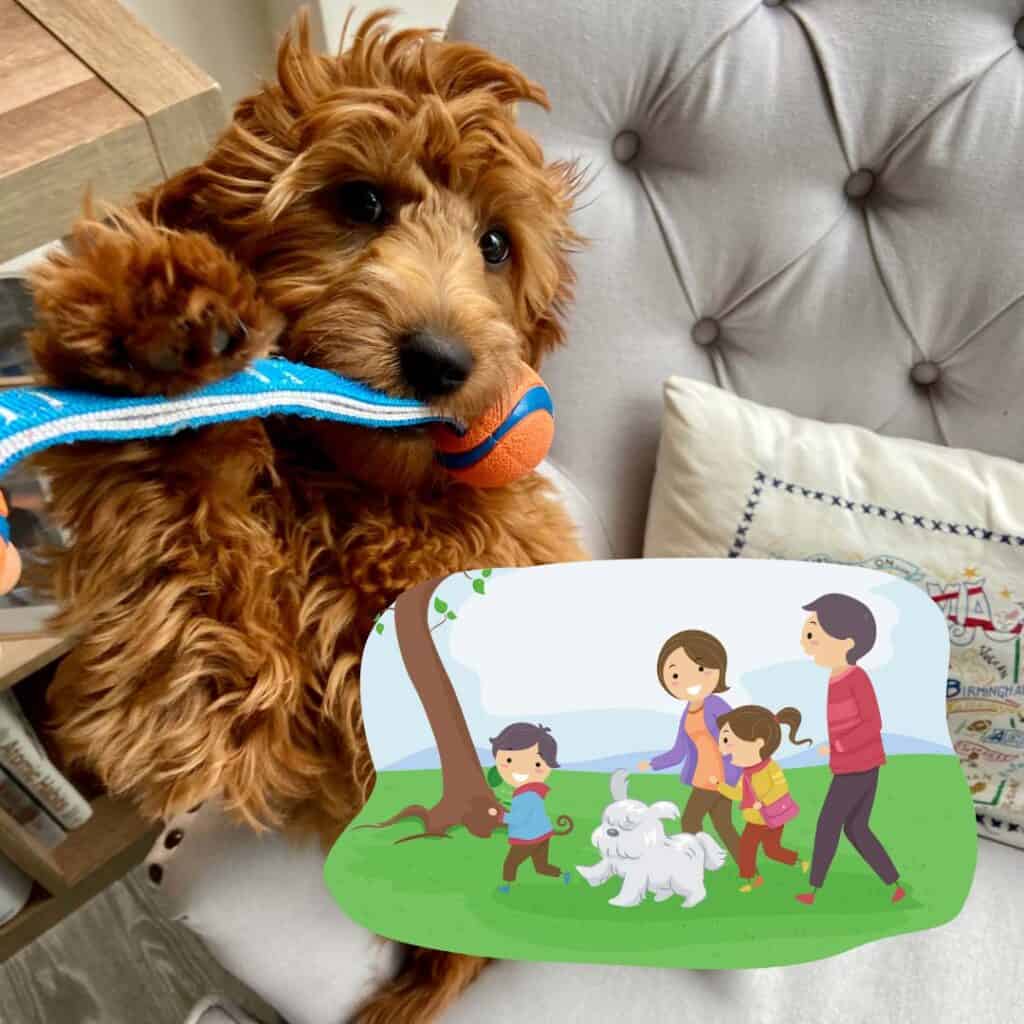 Are Goldendoodles Good Family Pets