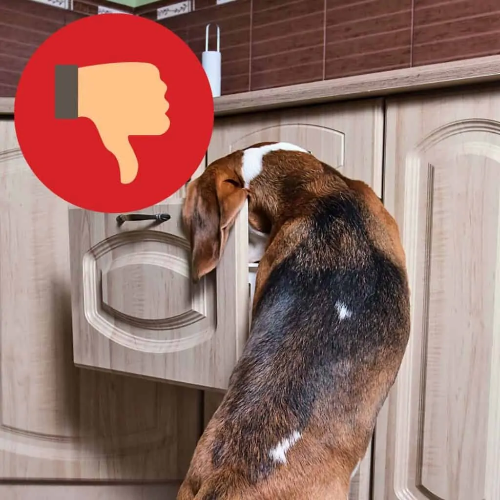 Best Dog Proof Kitchen Trashcan (How to keep dogs out of trash) 1