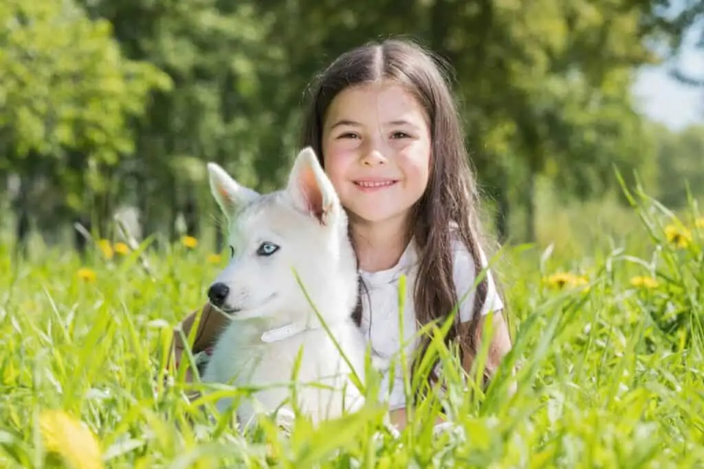 little girl and a husky