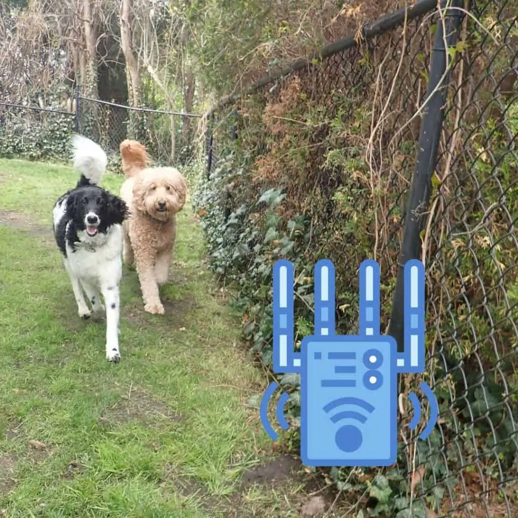best wireless fence for goldendoodles