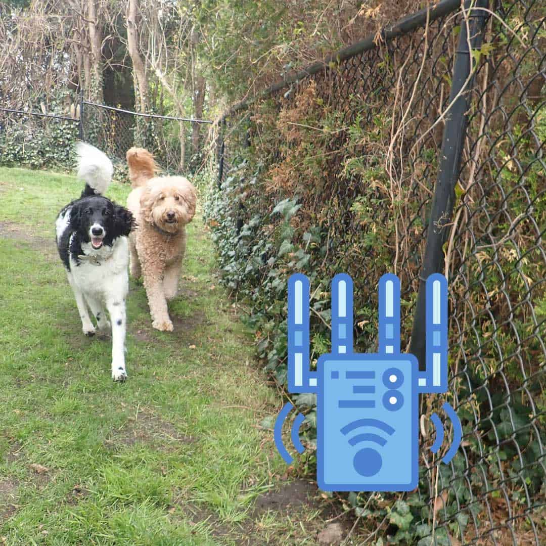 how old does a puppy have to be to use an invisible fence