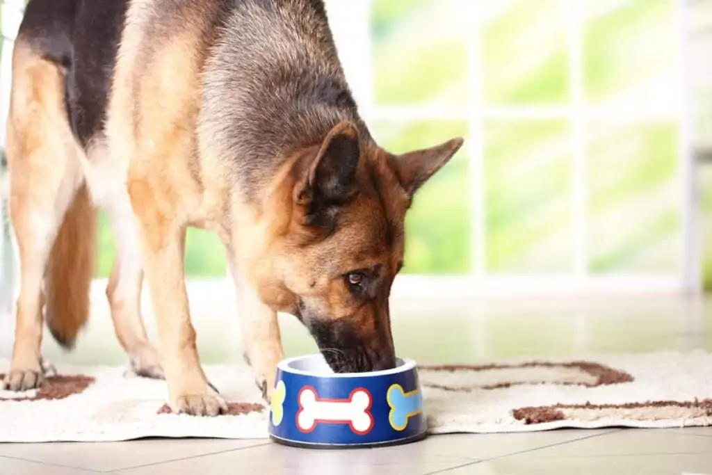 best dog food for German shepherds