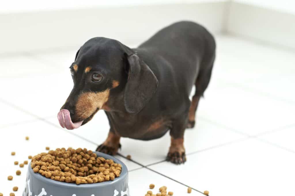 how many cups in 6 pounds dog food