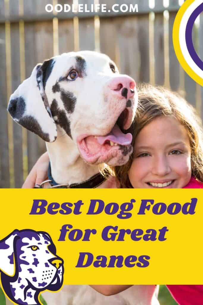 best dog food for great danes