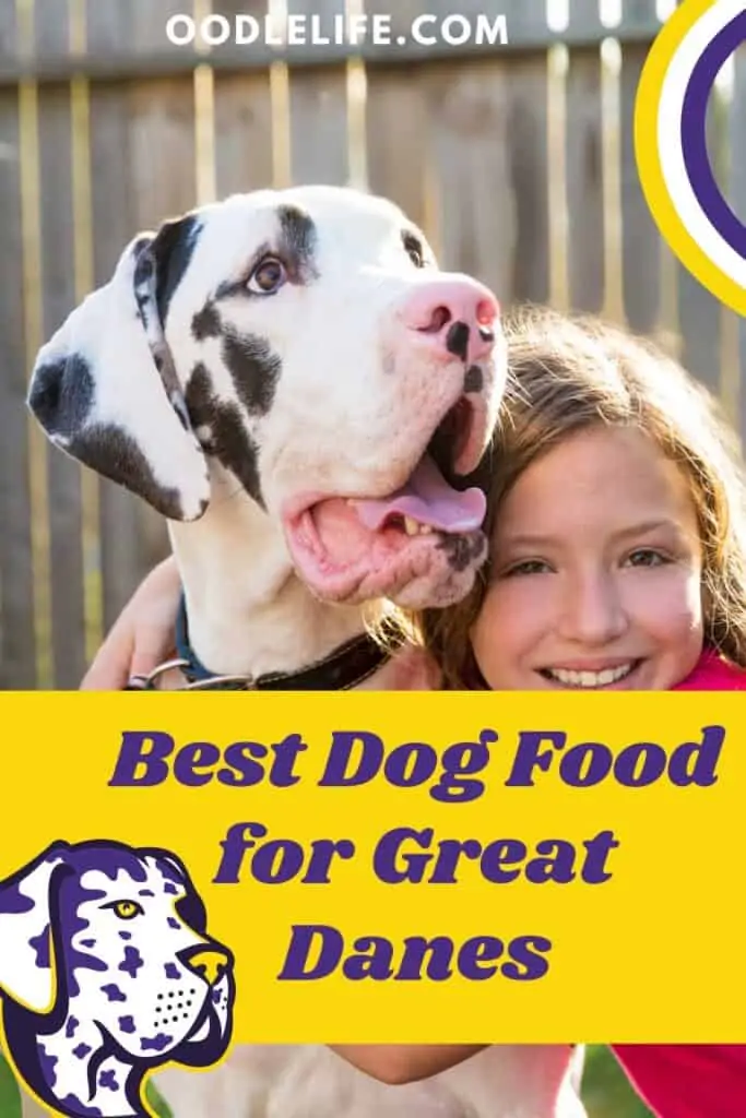 best dog food for great danes