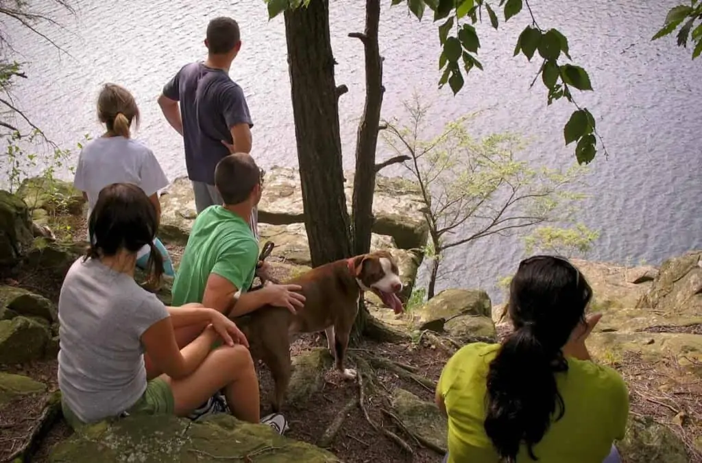 a dog and some humans on a hike to the lake