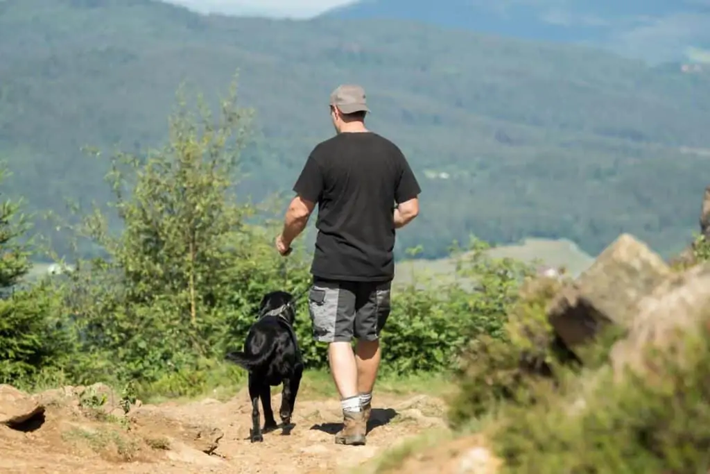 hiking hills with a dog and a man