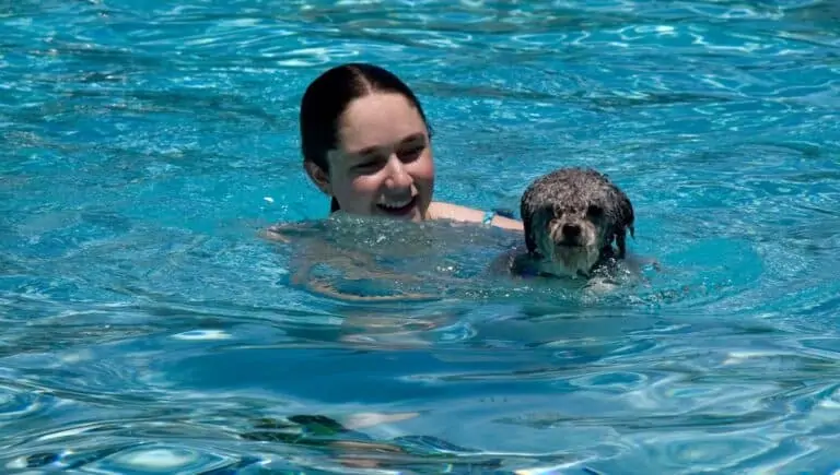 5 Best Water Tubes for a Dog