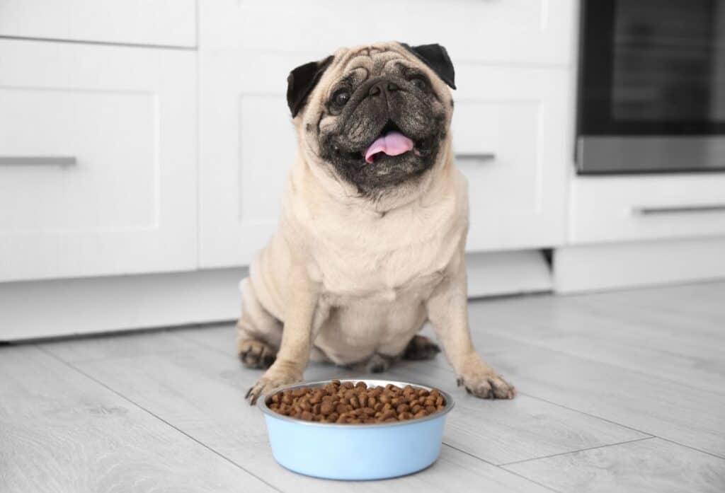 Is there a dog food that reduces shedding?