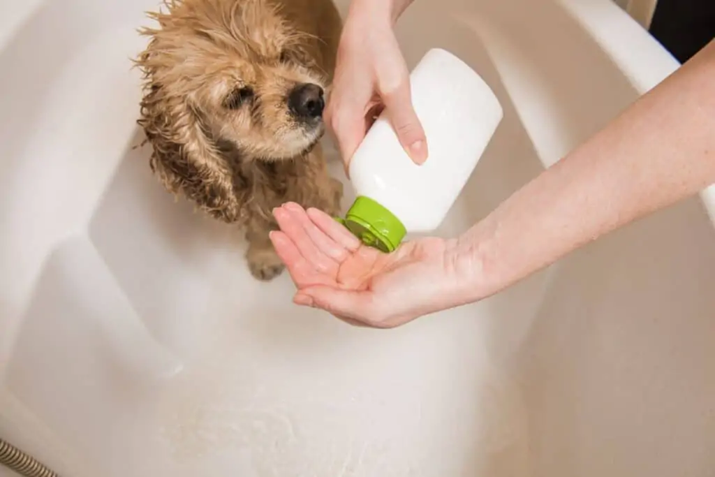 Best Dog Shampoo For Shedding