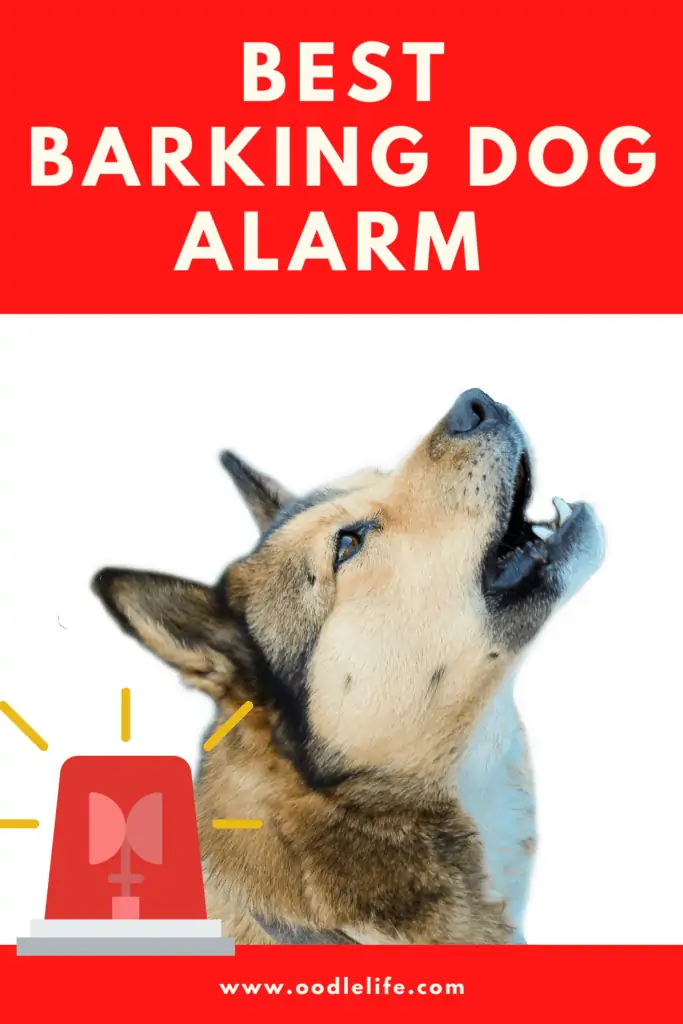 best barking dog alarm