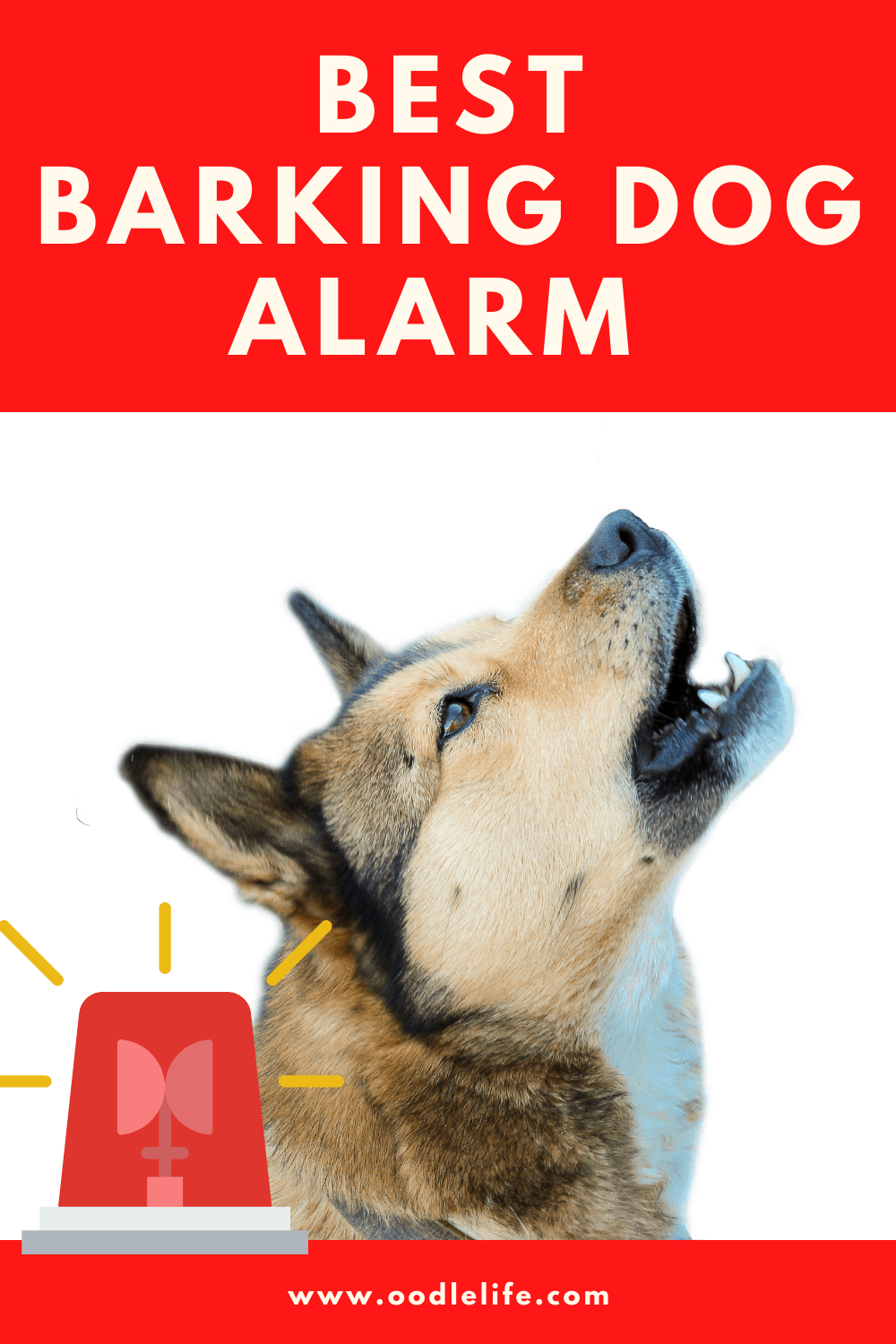 Best Barking Dog Alarm Oodle Life