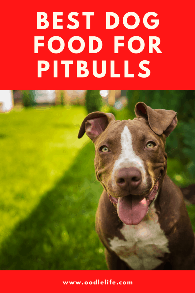 best dog food for pitbulls