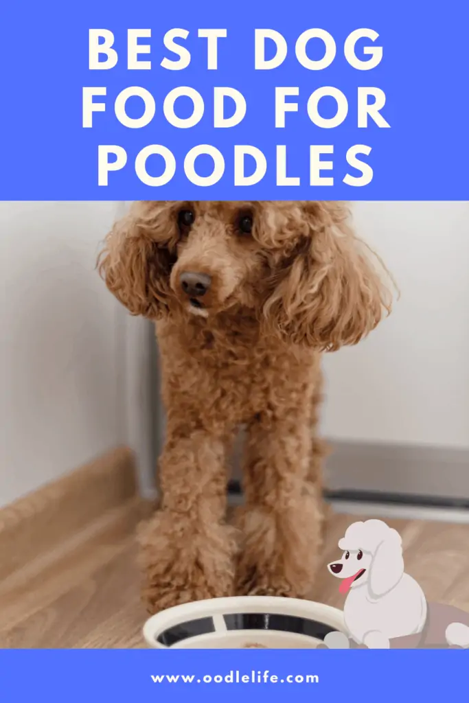 best dog food for poodles