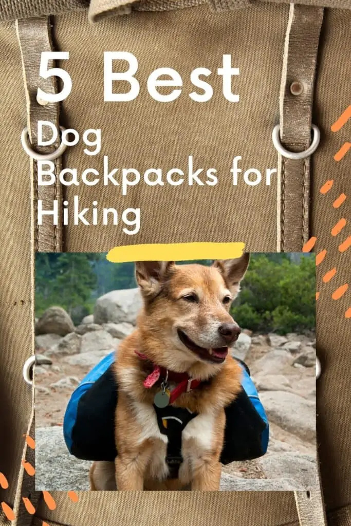 info graphic about the 5 best dog backbacks for hiking