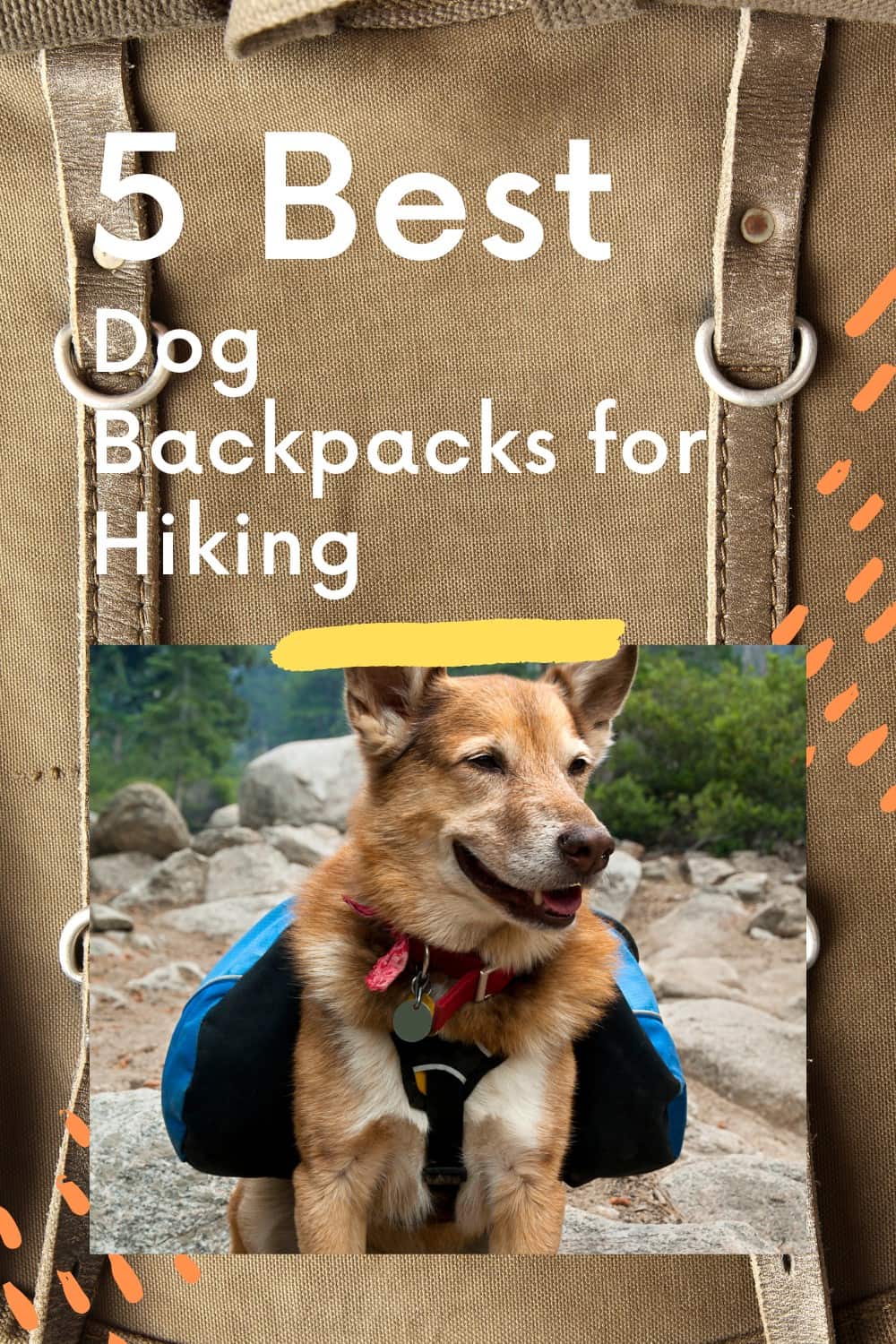 Best Dog Backpack For Hiking [5 Best Durable] Oodle Life