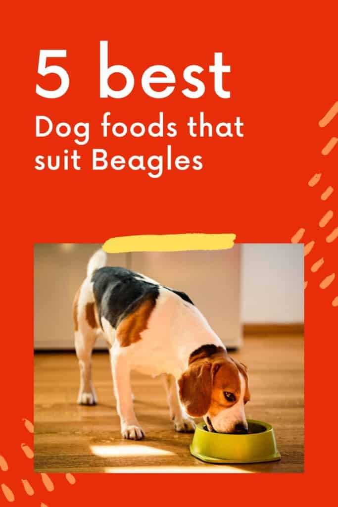 Best Dog Food For Beagles Oodle Life