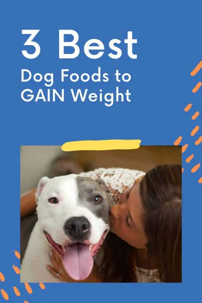 best dog foods to gain weight