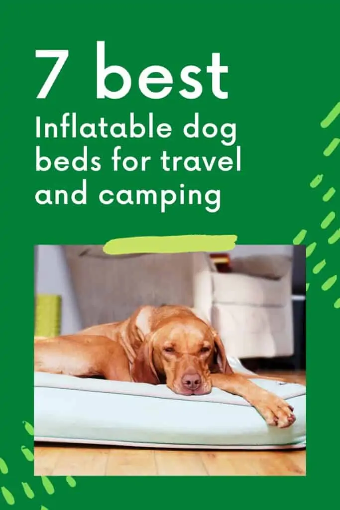 best inflatable dog beds for travel