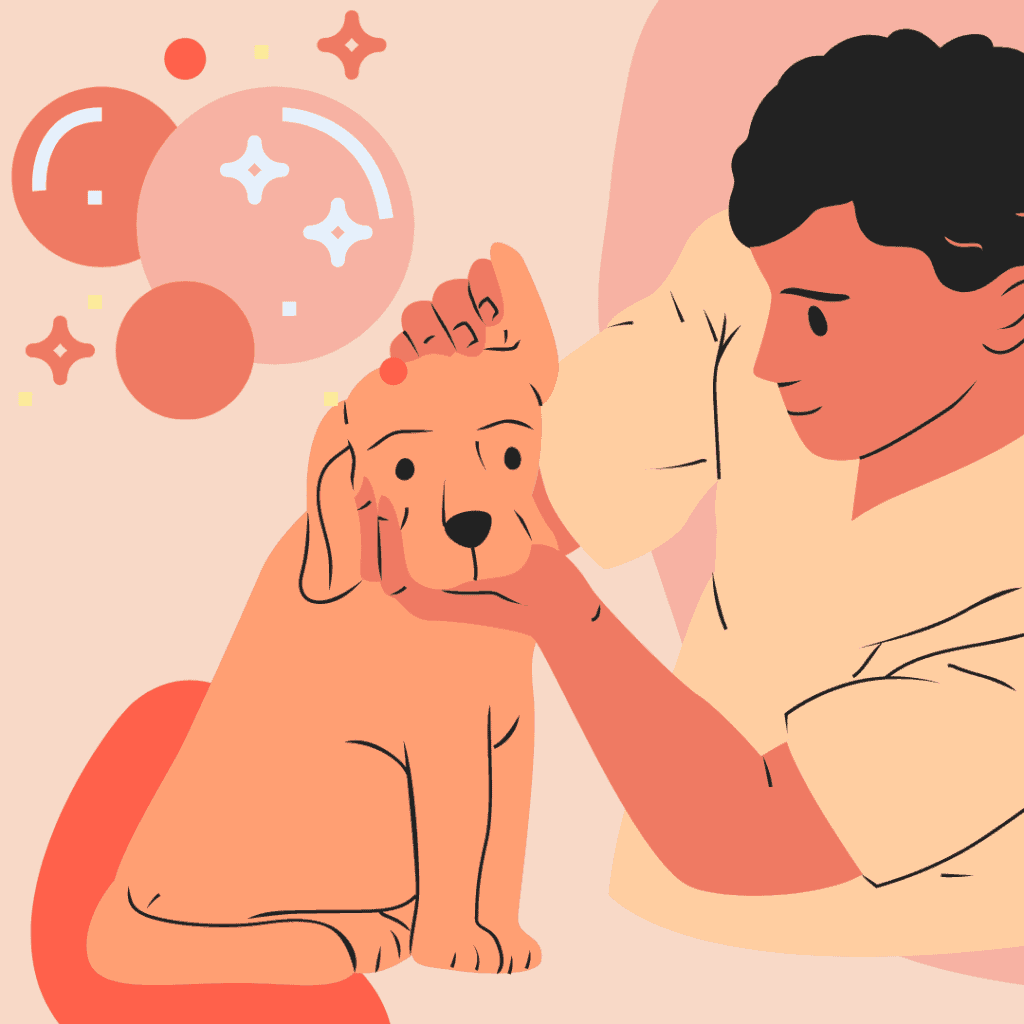diagram of a man cleaning the ear of a Goldendoodle