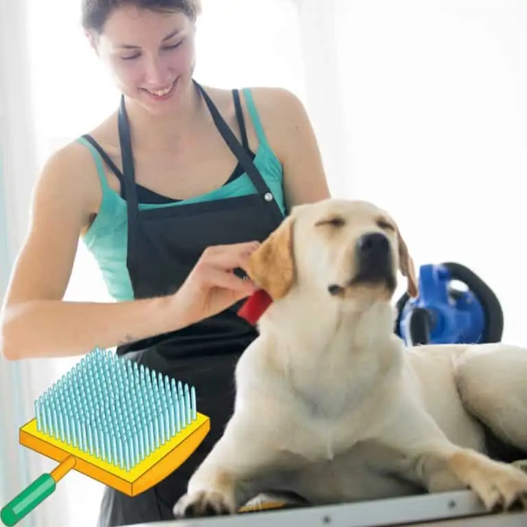 Stop the Shed – Best Brush for Labs [5 Best]