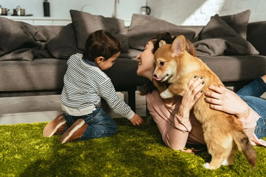 Hands on Dog Product Reviews 1