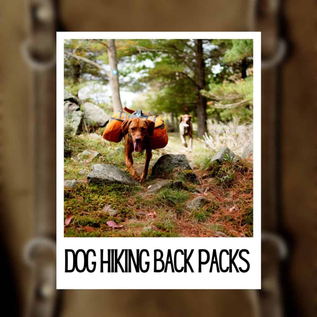 hiking back packs