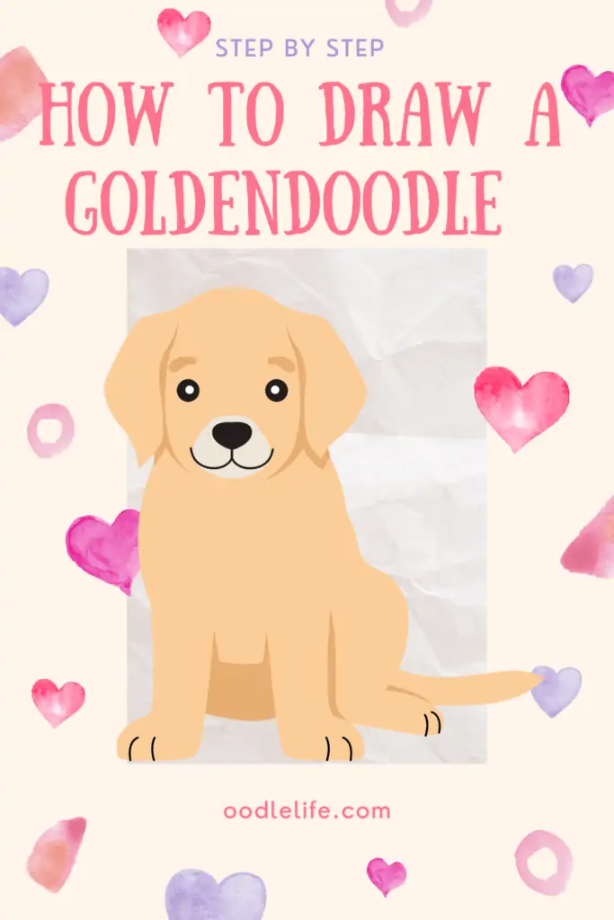 how to draw a goldendoodle guide