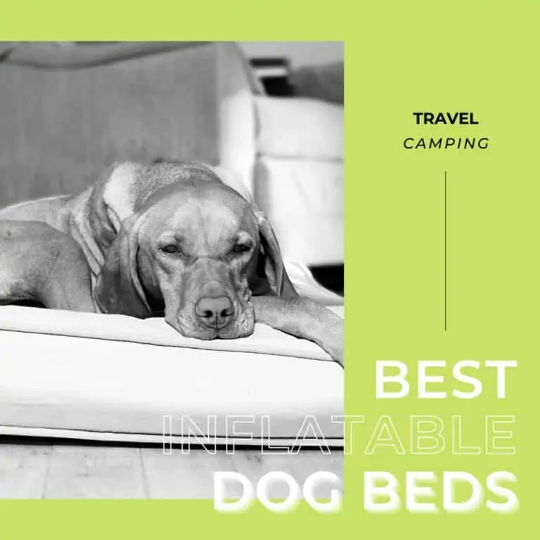 7 Best Inflatable Dog Beds [for Traveling] Plus one to AVOID