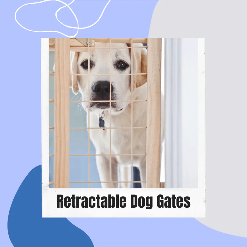 a dog looking sad behind the best retractable dog gate