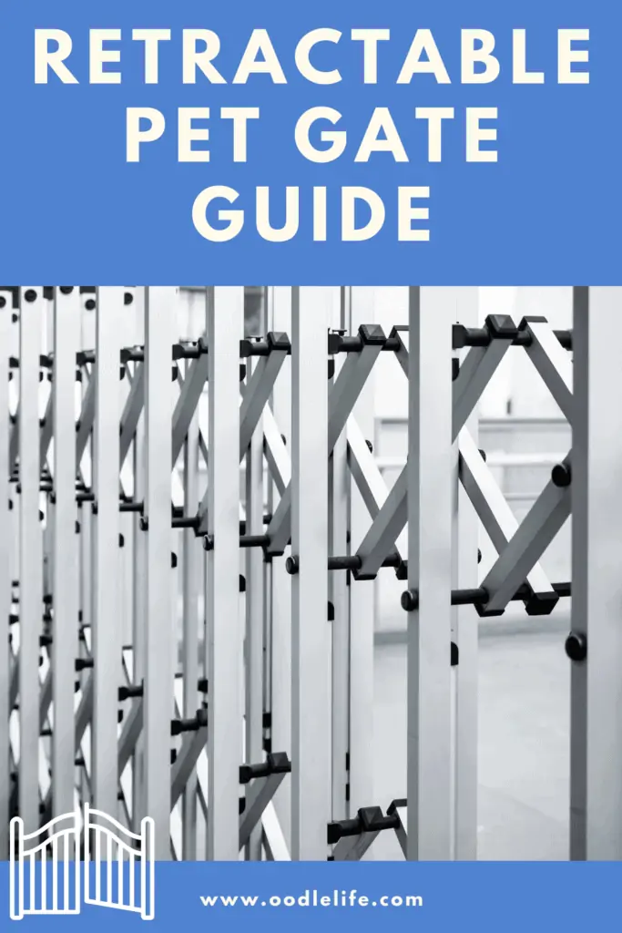guide to retractable pet gates