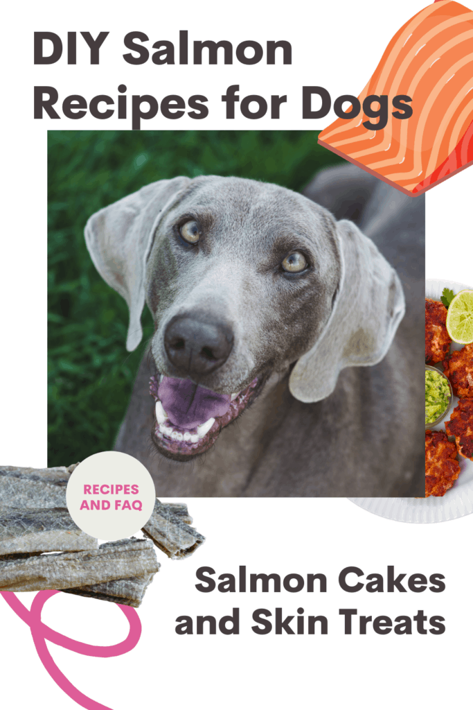 salmon recipes for dogs