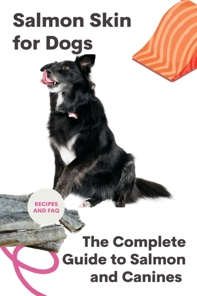 Is salmon skin best sale bad for dogs