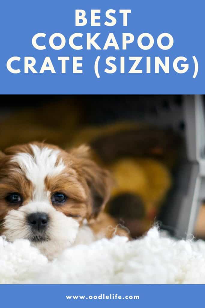 What Size Crate Do I Need For A Cockapoo What Size Crate Do I Need For A Cockapoo