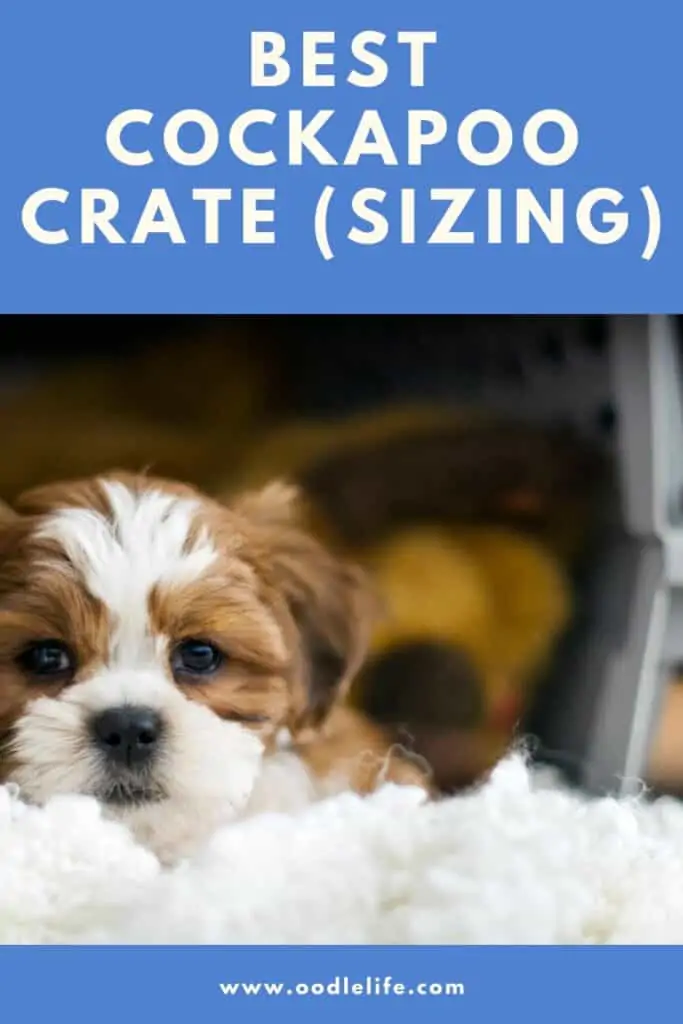 what size crate for a cockapoo