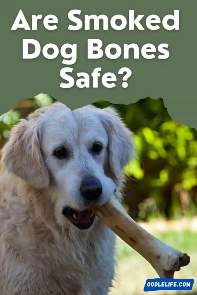are smoked dog bones safe