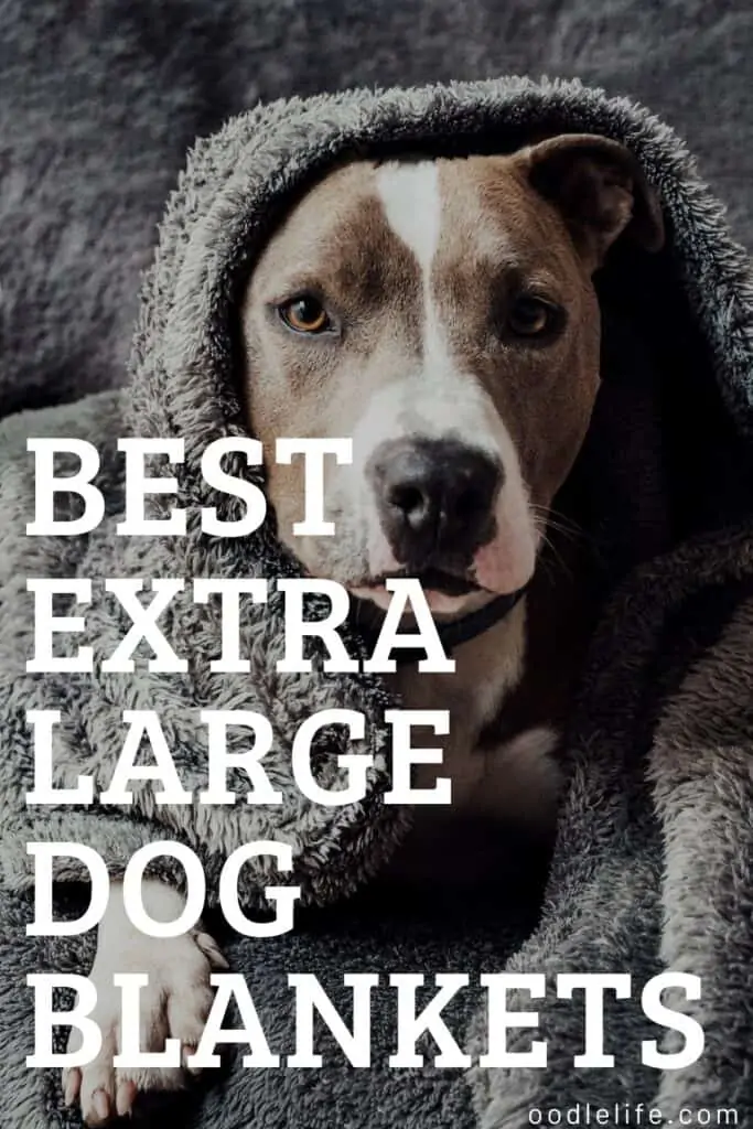 best extra large dog blankets