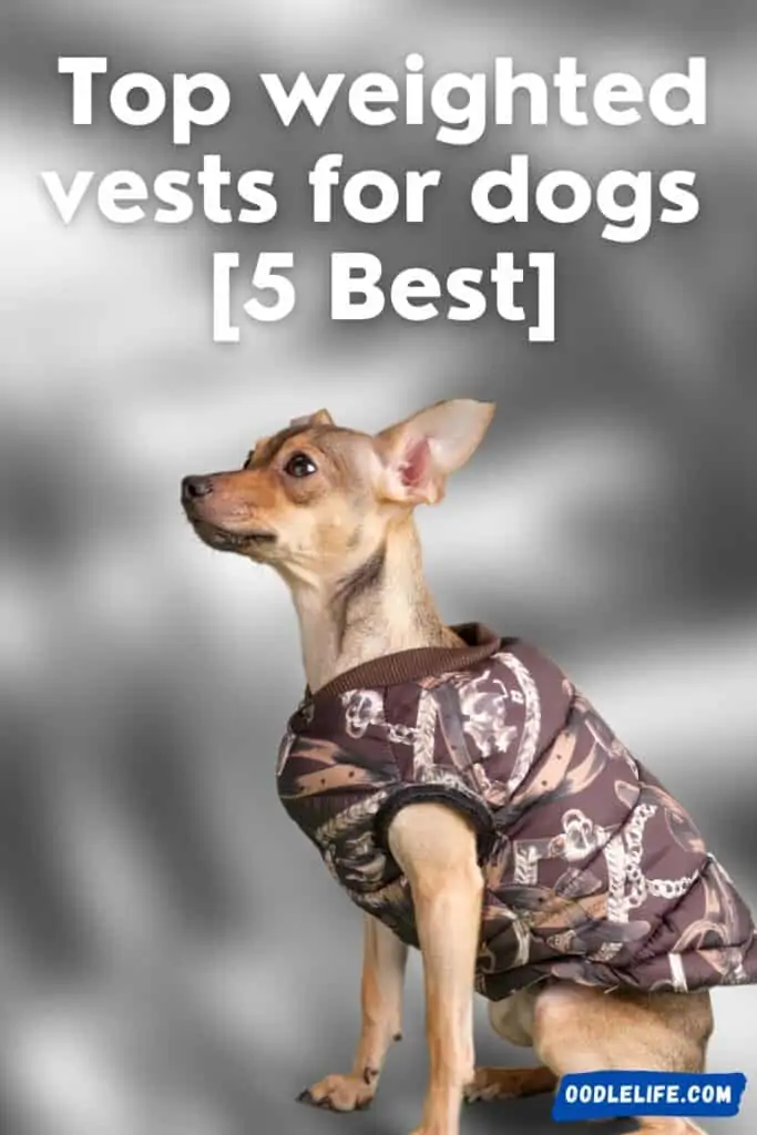 best weighted vests for dogs