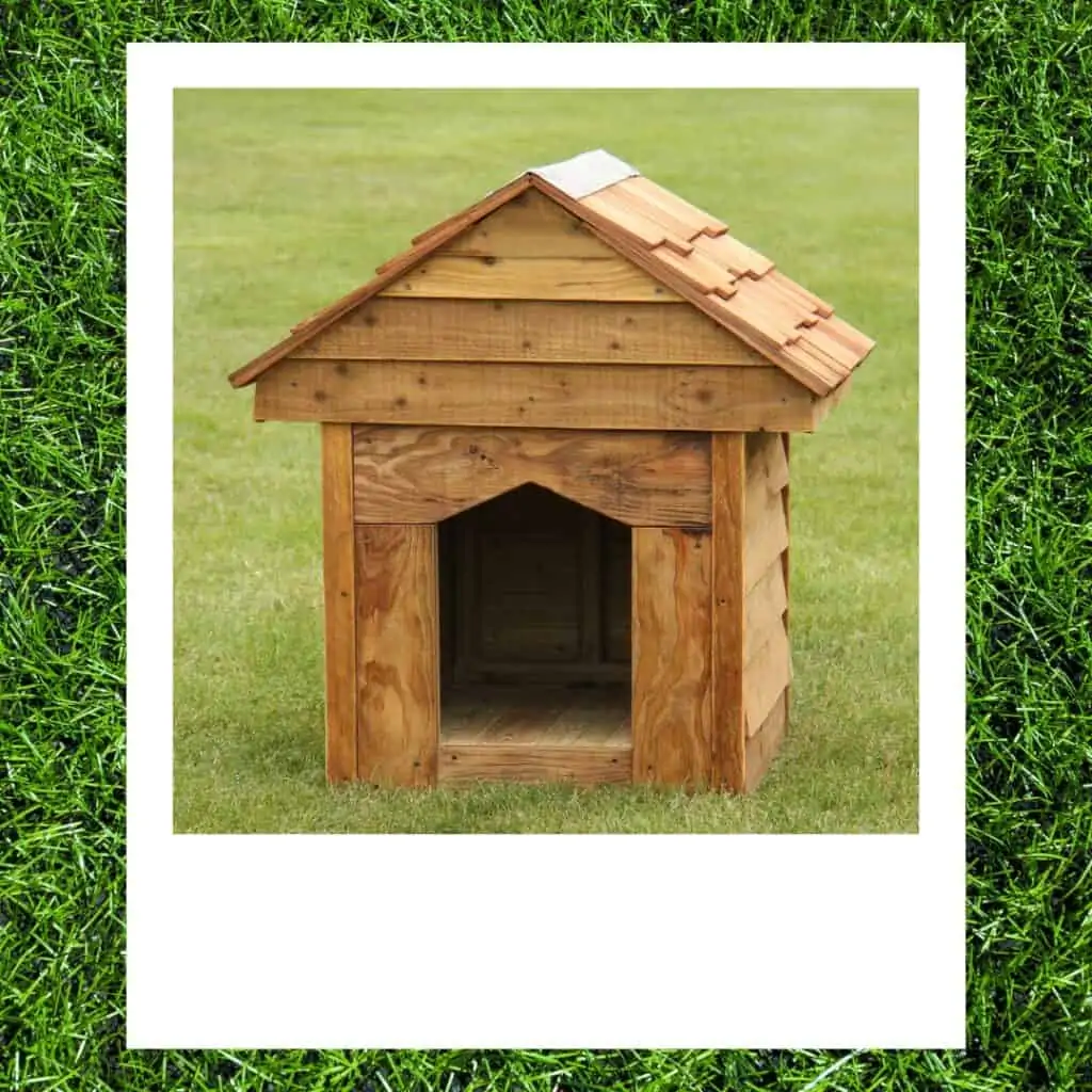 outdoor goldendoodle kennel