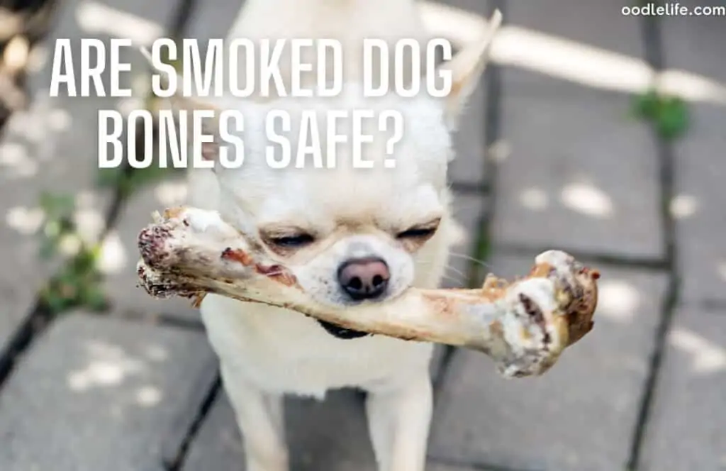 are smoked dog bones safe for puppies