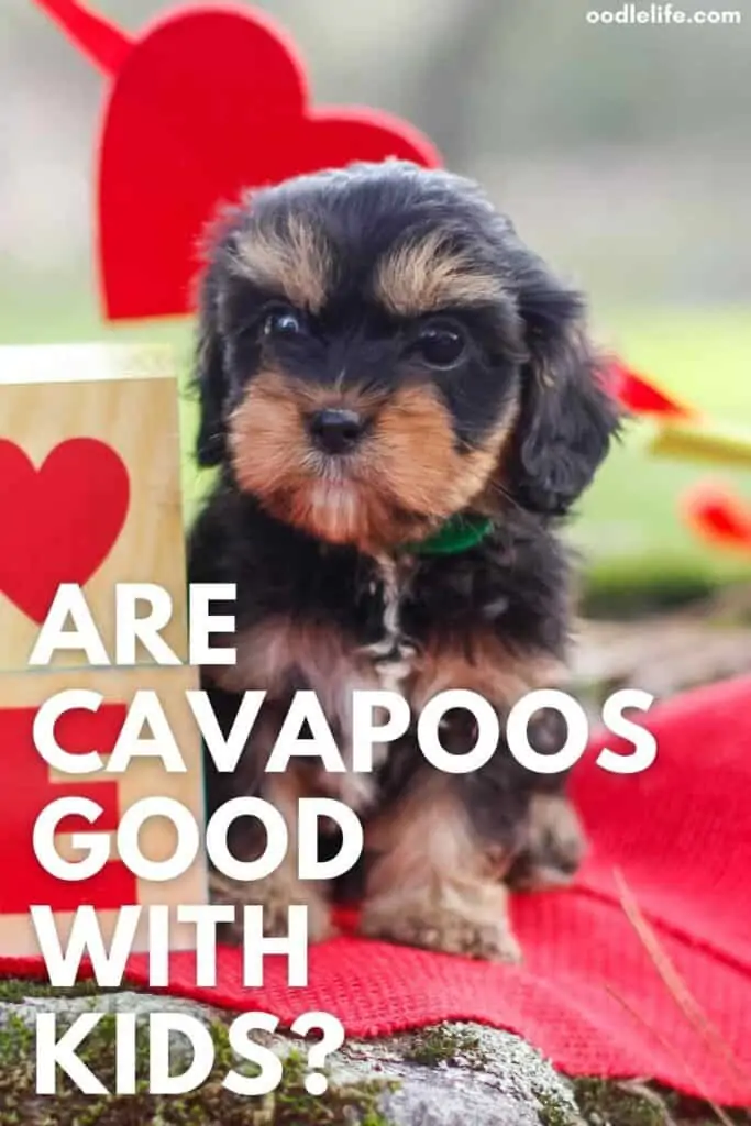 are cavapoos good with kids