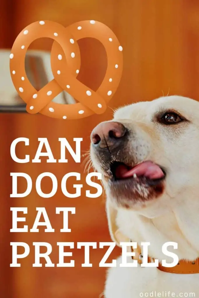 can dogs eat pretzels