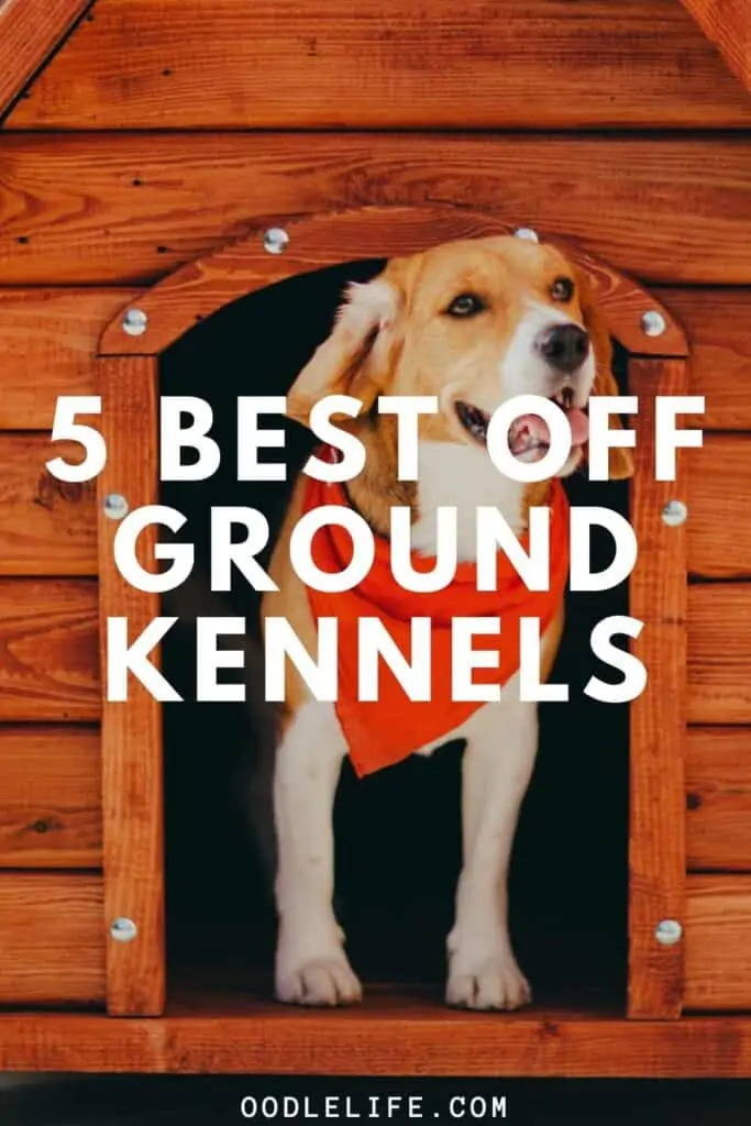 best off ground dog kennel