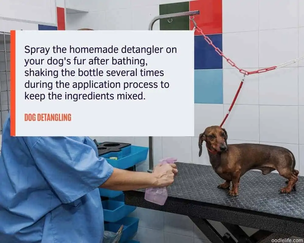 Dog hair sales detangler spray homemade