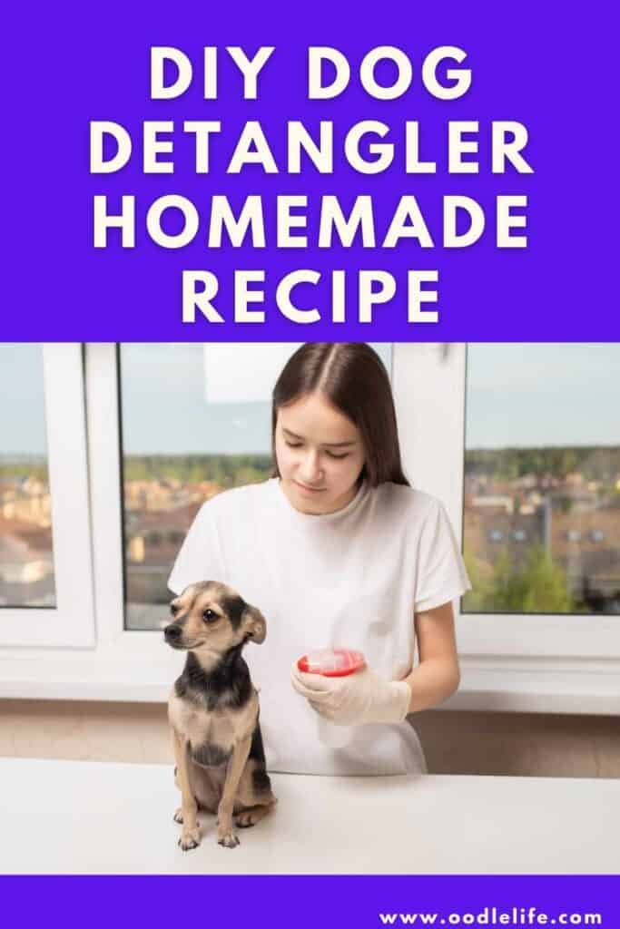 DIY Dog Detangler Homemade Spray - Oodle Life DIY Dog Detangler Homemade Spray - Oodle Life