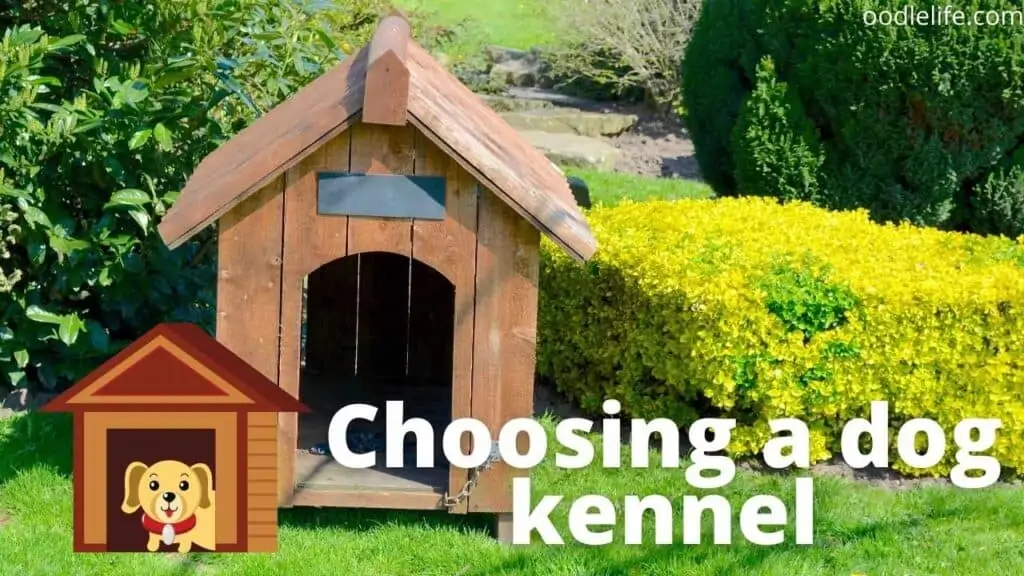 a wooden dog kennel