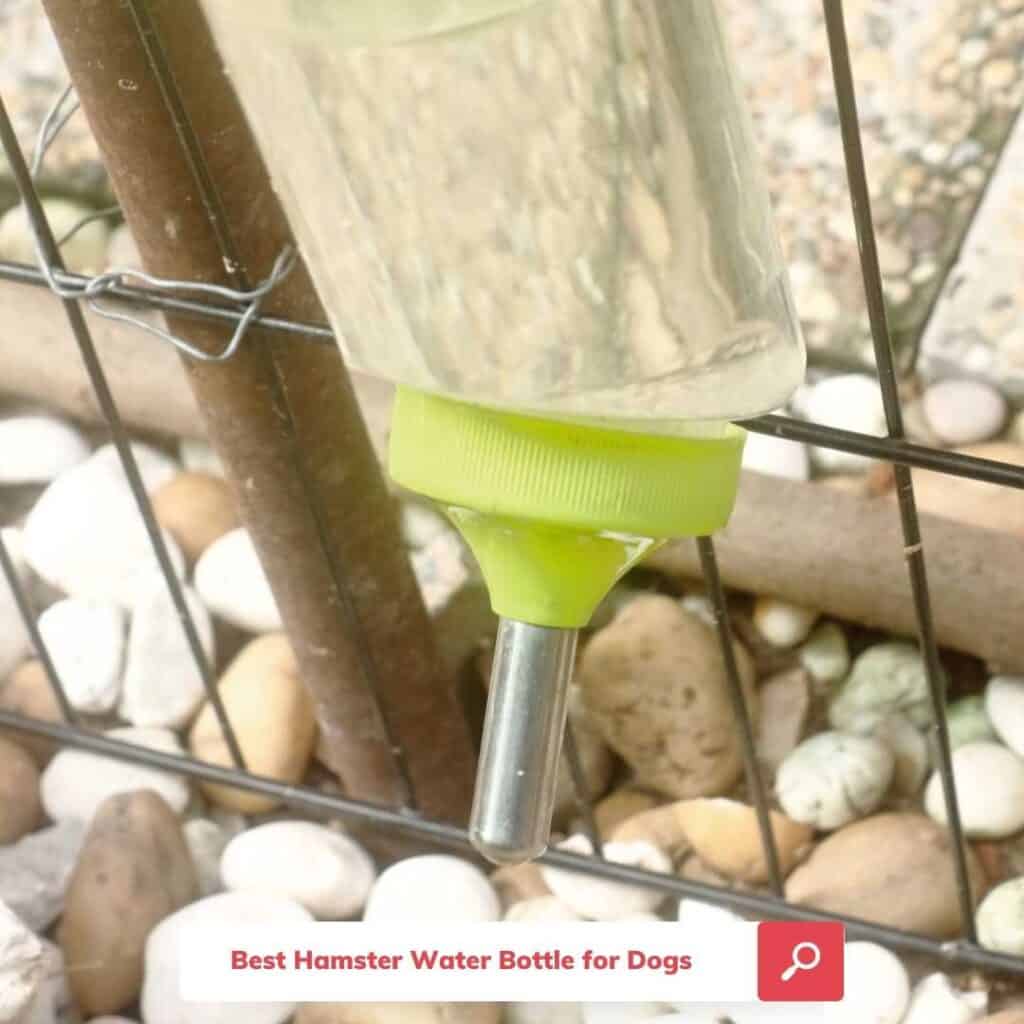 hamster style dog water bottle