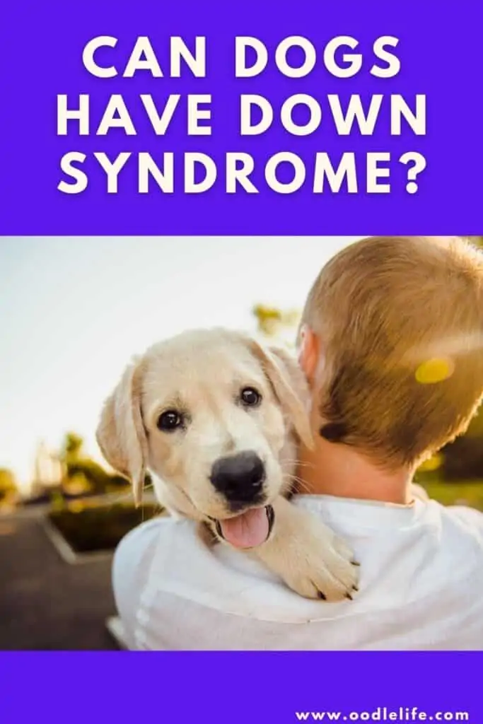 can dogs have Down syndrome